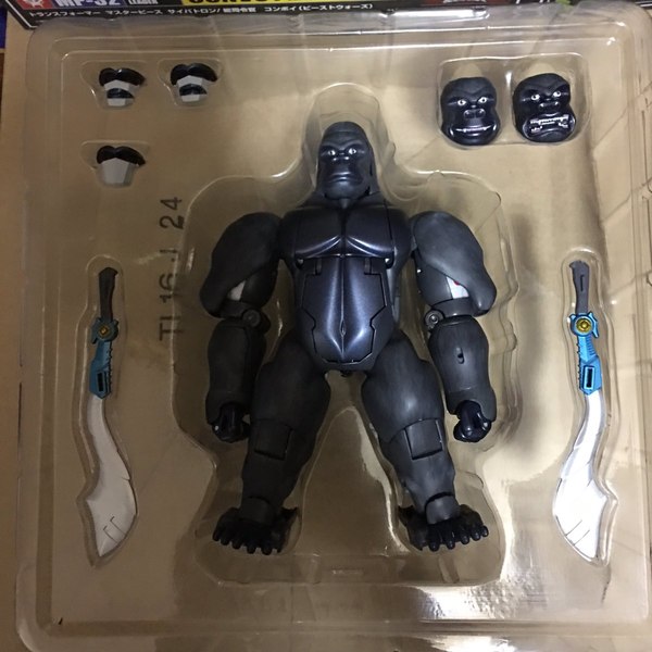 MP 32 Masterpiece Optimus Primal   In Hand Photos Surface On Twitter  (50 of 81)